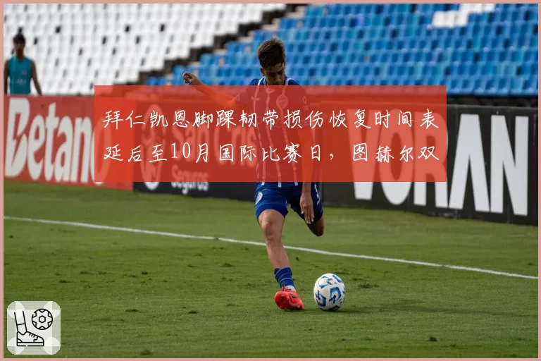 拜仁凯恩脚踝韧带损伤恢复时间表延后至10月国际比赛日，图赫尔双前锋战术被迫搁置