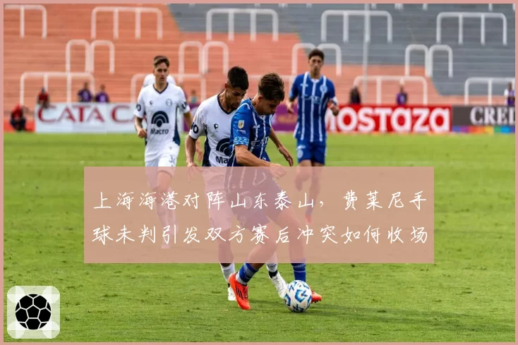 上海海港对阵山东泰山，费莱尼手球未判引发双方赛后冲突如何收场？
