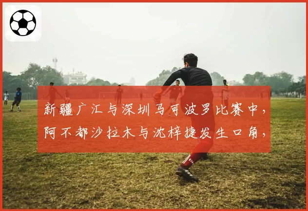 新疆广汇与深圳马可波罗比赛中，阿不都沙拉木与沈梓捷发生口角，双方累计6次技犯
